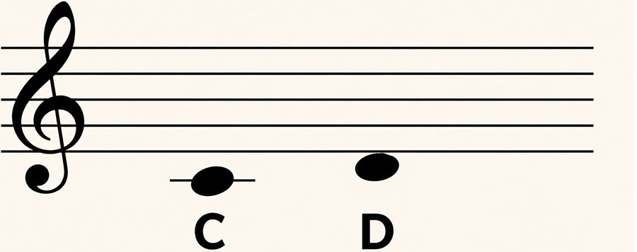 Middle C on a ledger line and D in the space below the treble clef staff